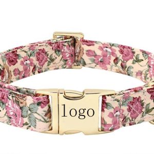 Stylish Pet Collar