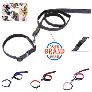 Dog Traction Collar Set