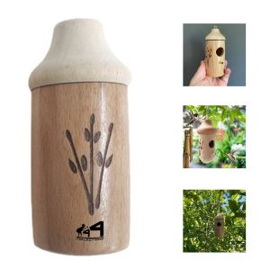 Bird Feeder
