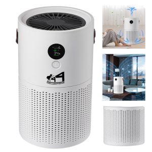 Portable Air Purifier