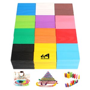 12 Color Wooden Domino