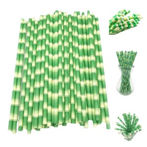 Bamboo Stripe Disposable Paper Straws