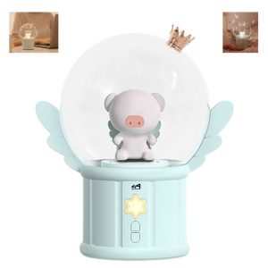 Music Night Light