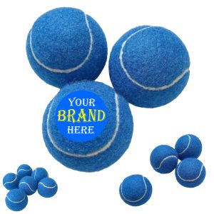 Pet Training Tennis Ball